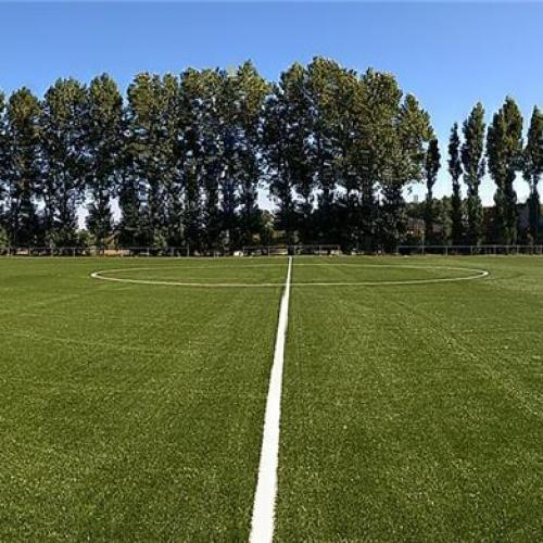 terrein
