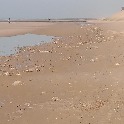 foto gemeente Middelkerke