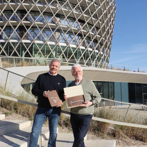 veiling tegelpannetjes