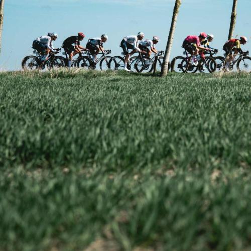 koeriers Middelkerke-Wevelgem