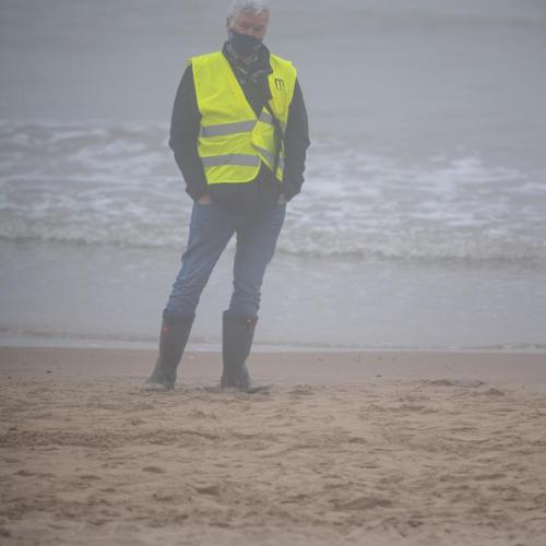 Zeehond met een lid van het Northsealteam
