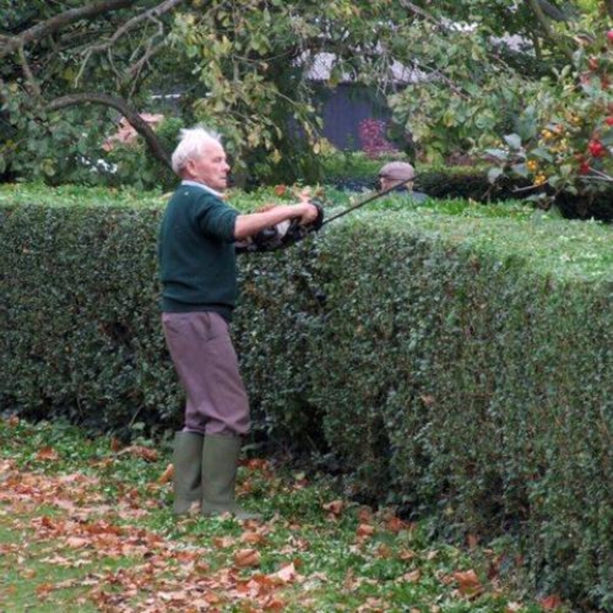 Inzameling gras- en haagscheersel wijzigt