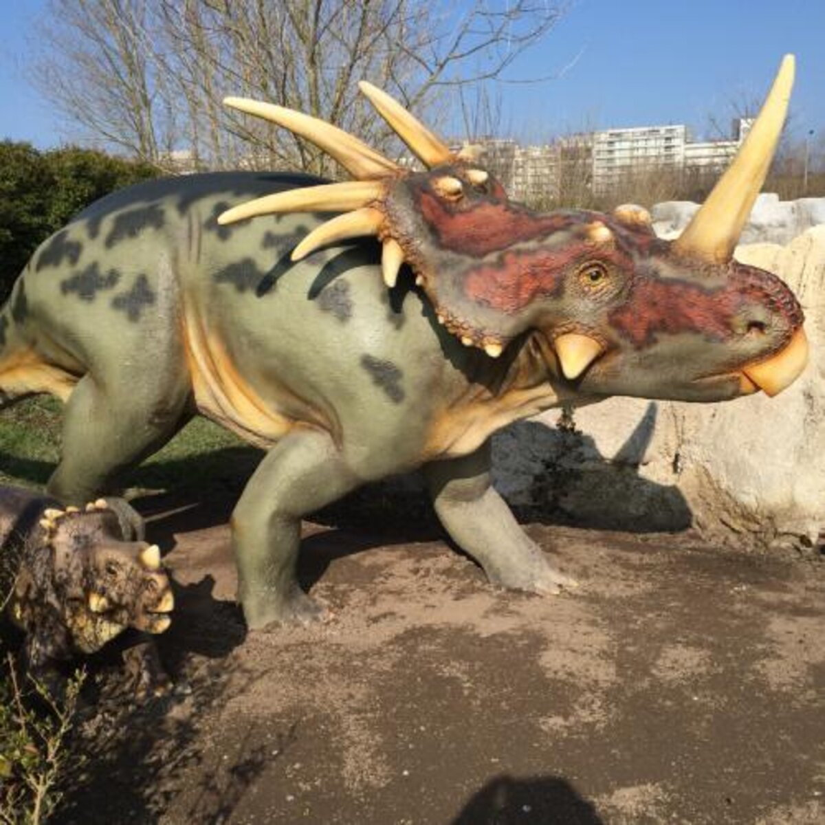Korting voor elke Middelkerkenaar die naar Extreme Dino Park gaat