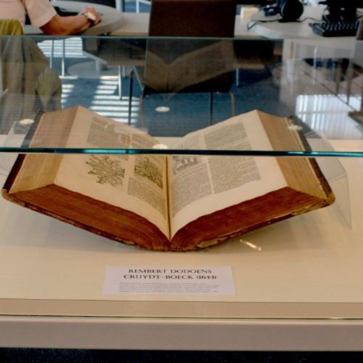 Bibliotheek Middelkerke stelt ‘Cruydt-boeck’ (1644) van Rembert Dodoens tentoon