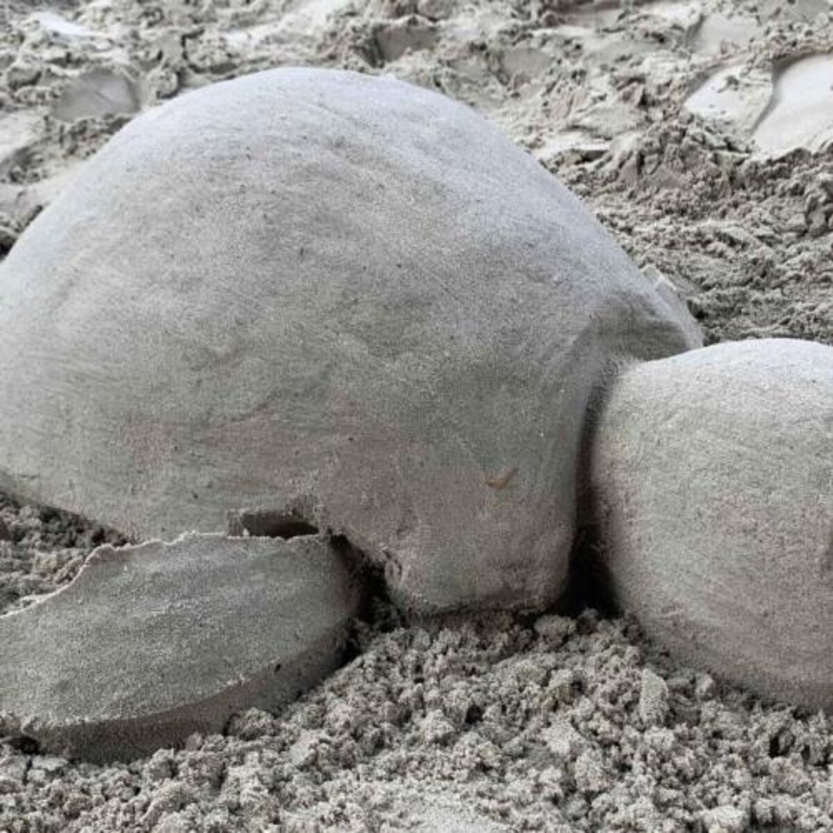Inschrijving deelname aan wereldrecordpoging zandsculpturen maken