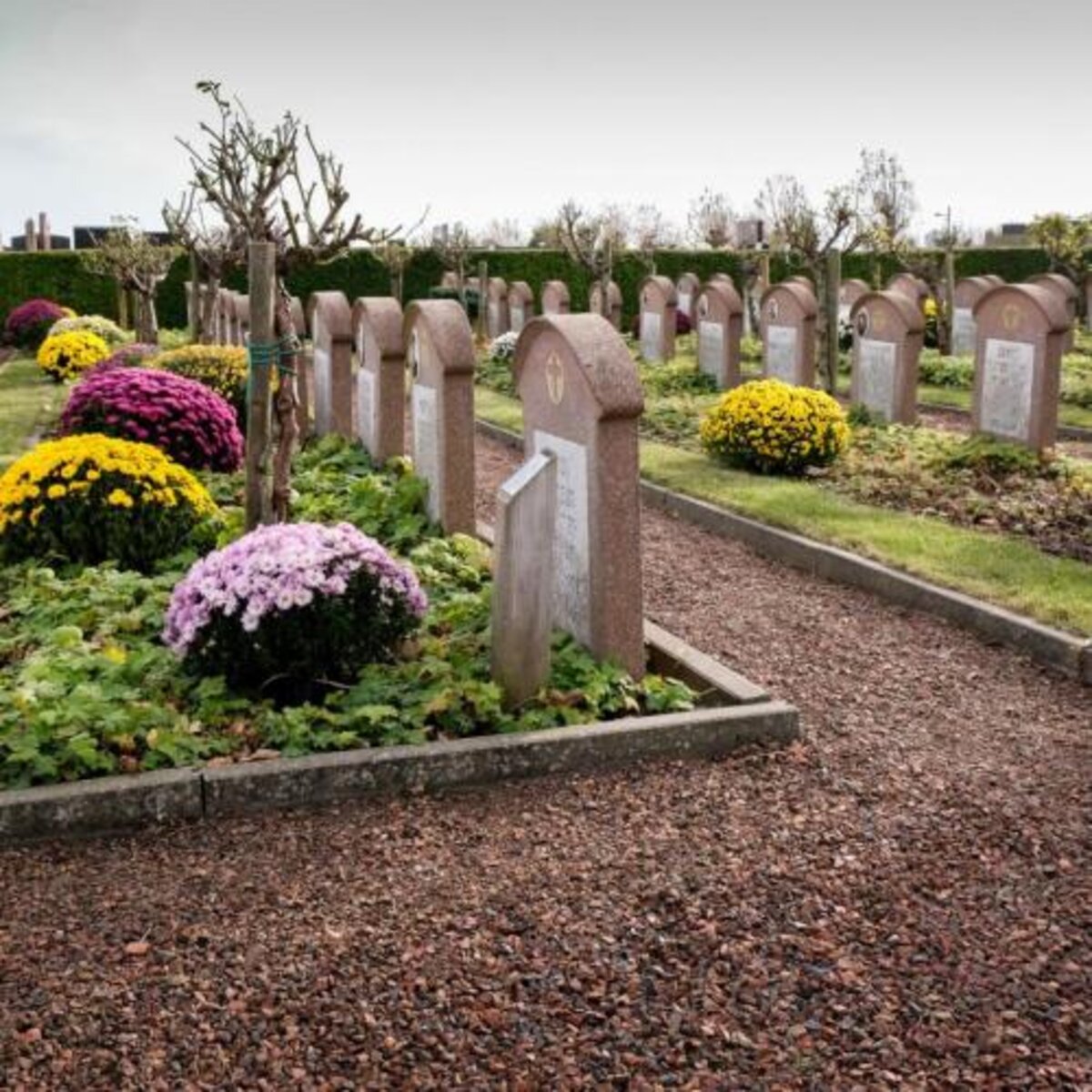 Oudstrijderstoelage