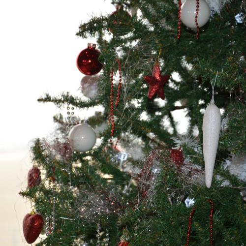 Openingsdagen Welzijnshuis tijdens kerst- en nieuwjaarsperiode 2018-2019