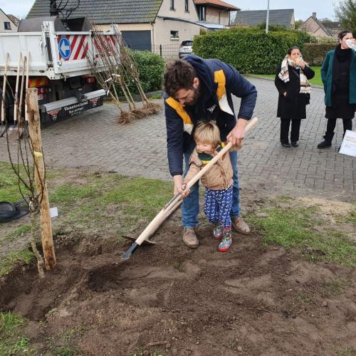 29 Middelkerkse kinderen planten hun ‘geboortebos’ in Middelkerke