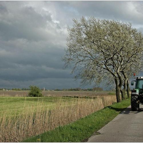 Aanvraag subsidie bij (landbouw)rampen