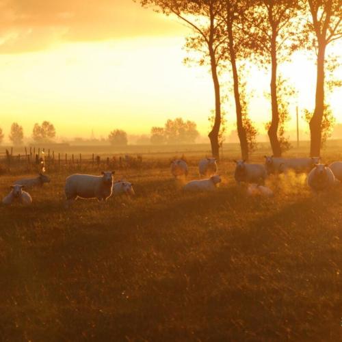 Ontdek het hinterland