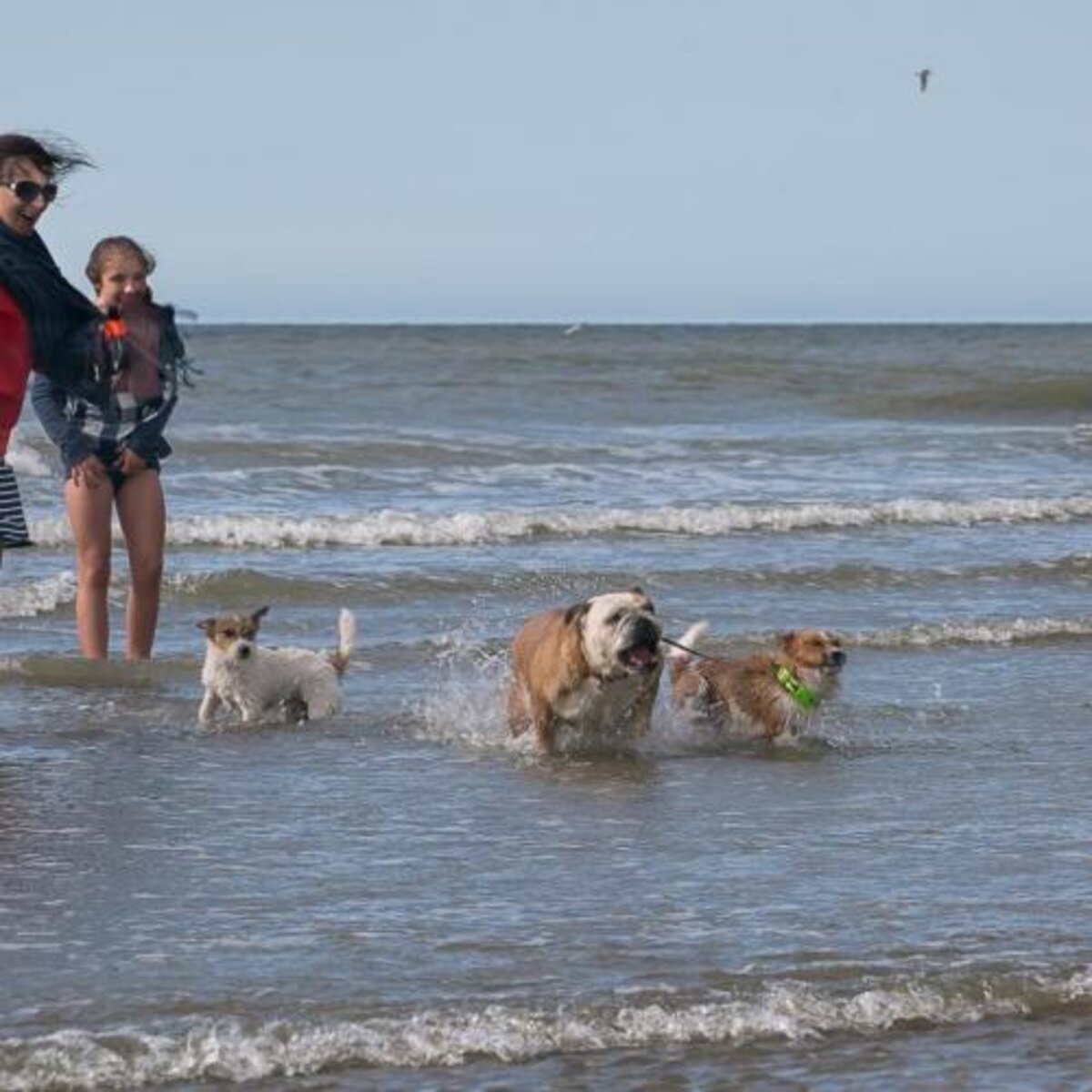 Strand- en dijktaferelen