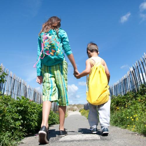 Wandelingen met gids natuurgebieden