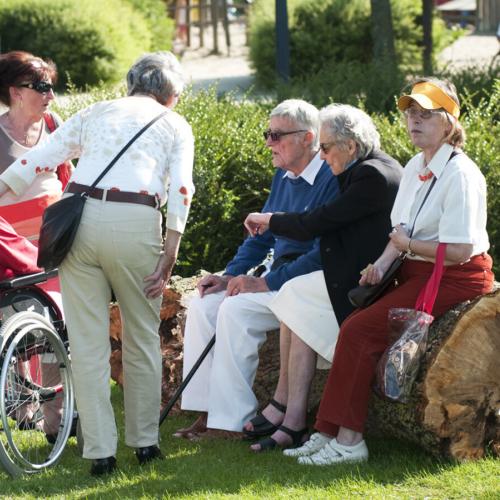 Verenigingengids