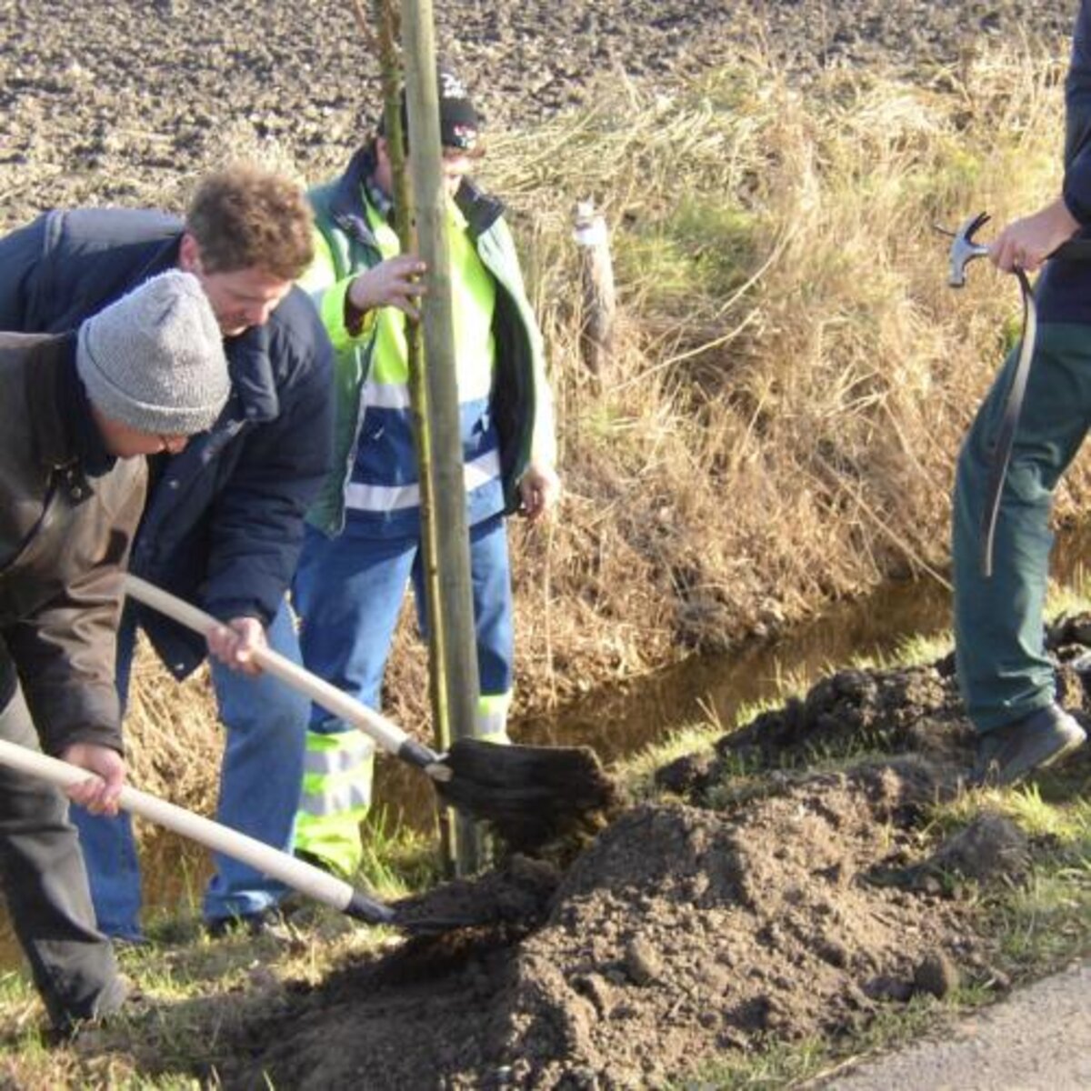 Geboortebomen in Sint-Pieters-Kapelle