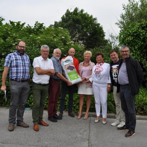Gemeentebestuur gaat inzamelaars van taxus belonen