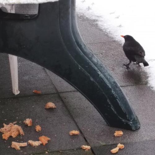 Ben jij klaar voor de winter?