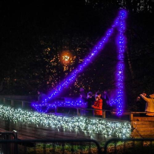 éclairage d'ambiance 