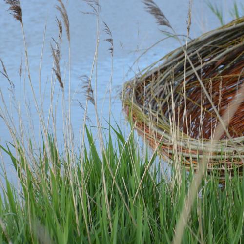 Waternest