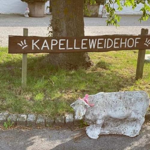 Kapelleweidehof