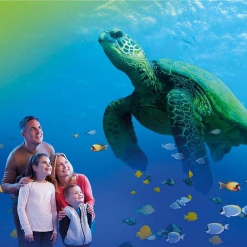 Sea-Life 