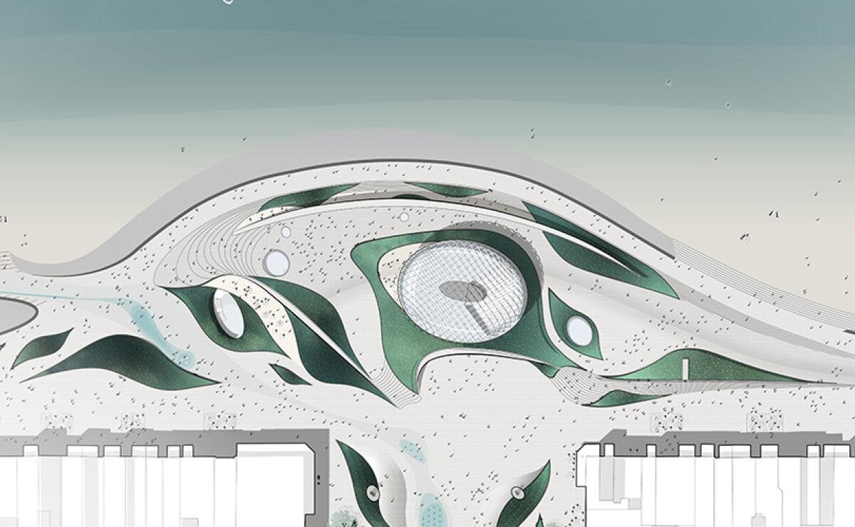 Nautilus