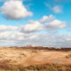 Winterwandelingen