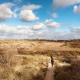 Wandeling met gids - Sint Laureinsduinen en de nieuwe zeedijk van Westende