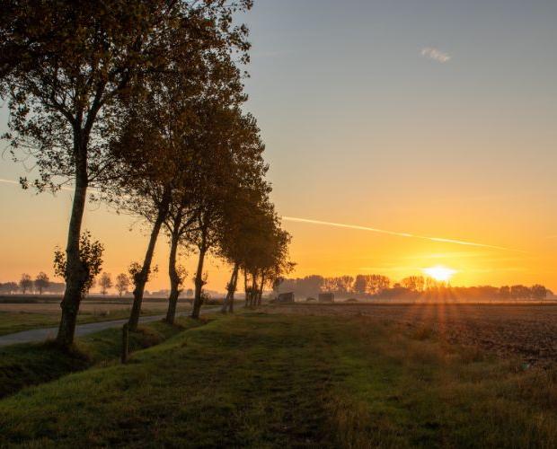 Dans la région