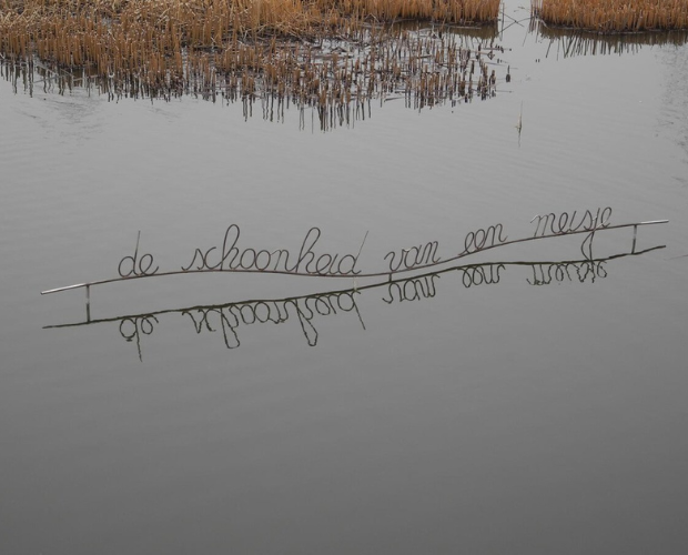 De analfabetische naam