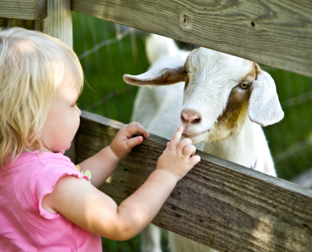 Ferme pour les enfants