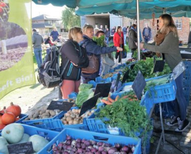 Markt van de makers