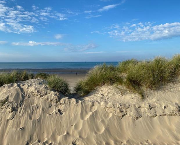 Strand und Dünen