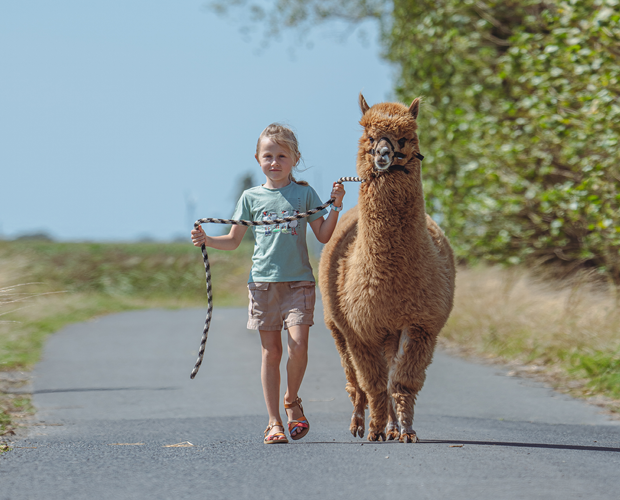 Expeditie Hinterland