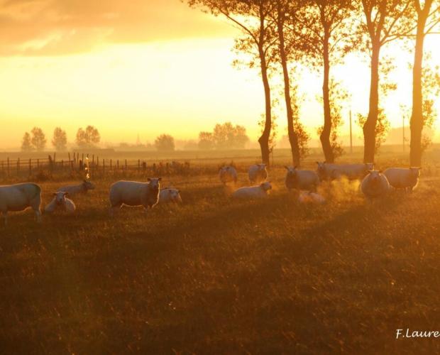 Vakantiewoningen in het hinterland