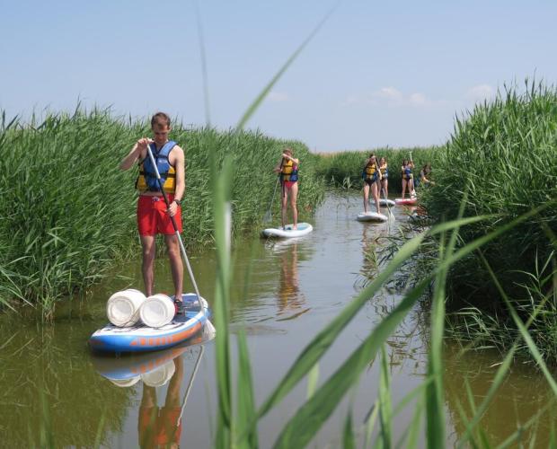 Kayaking through the polders