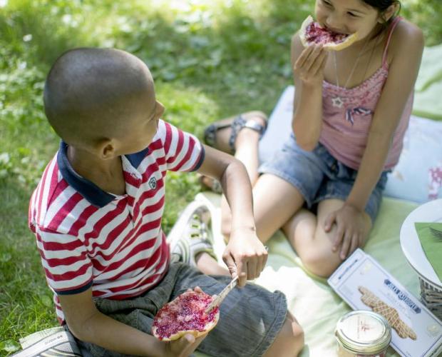 picknicken