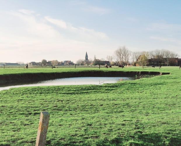 Duin en polder