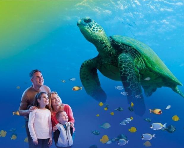 Sea-Life 