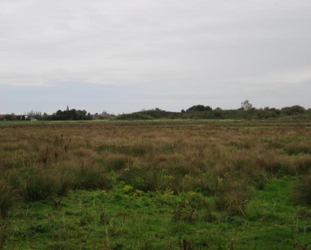 Puidebroeken