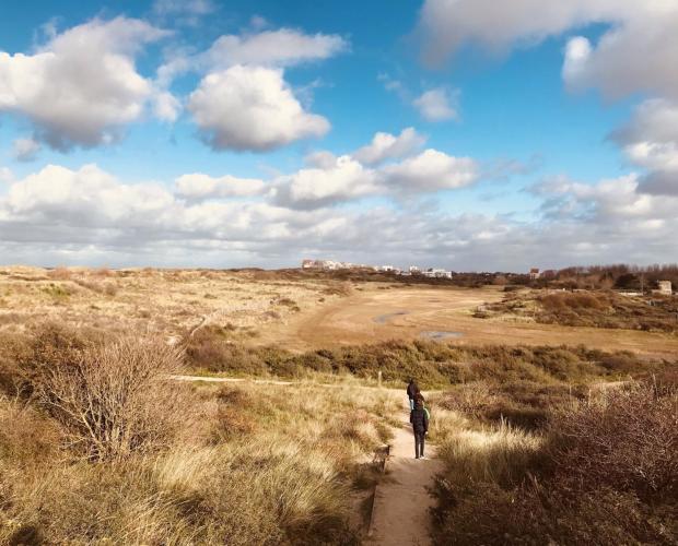 De Sint-Laureinsduinen